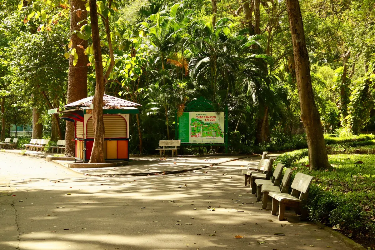 Designing for Shade: How Trees and Canopies Change the Way People Use a Square